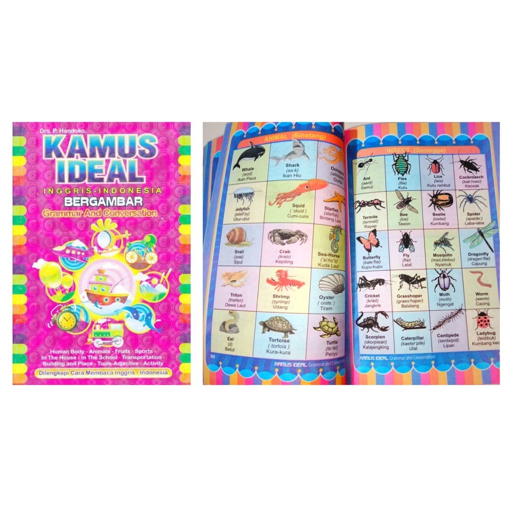 Section KAMUS IDEAL BERGAMBAR FULL COLOR KAMUS BAHASA INGGRIS-INDONESIA Grammar And Conversation Unt