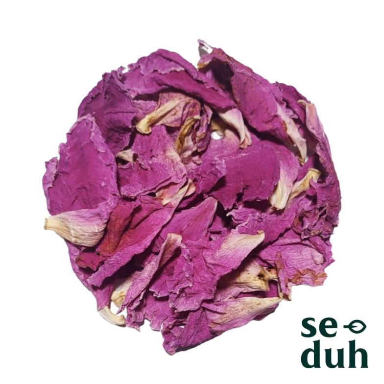 

PESTA DISKON Geranium Flower Petal Tea Teh Bunga Geranium 8 gram