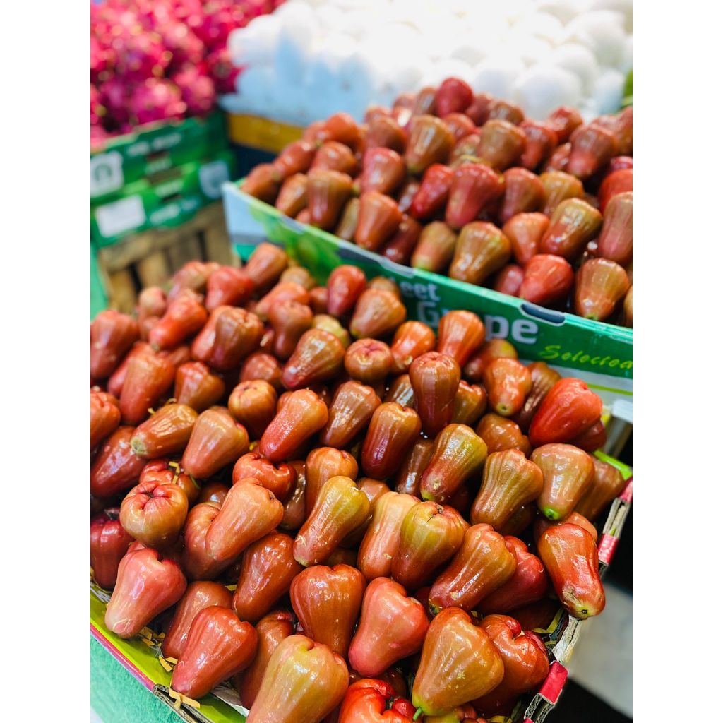 

Jambu air citra 1kg