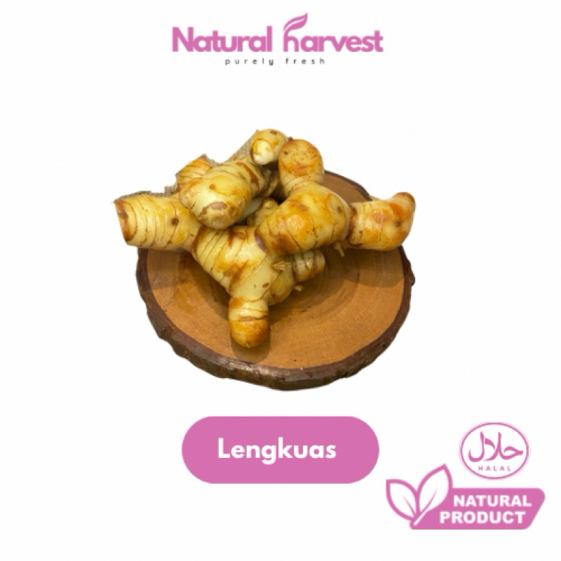 

Lengkuas Fresh 250gr | NaturalHarvest!