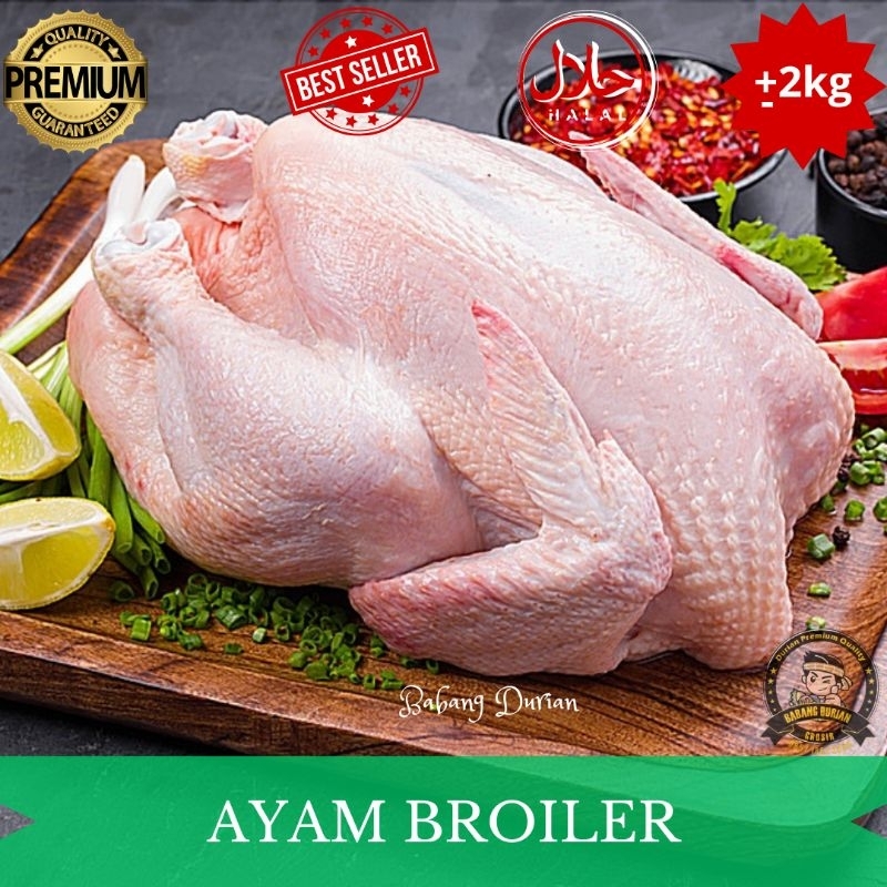 

AYAM BROILER -+2KG FRESH