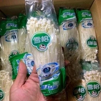 

JAMUR ENOKI
