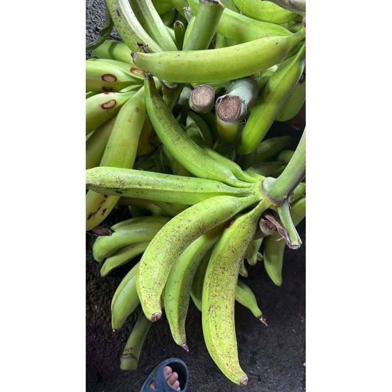 

buah pisang tanduk matang dan mentah, perbiji,minim order 3 buah
