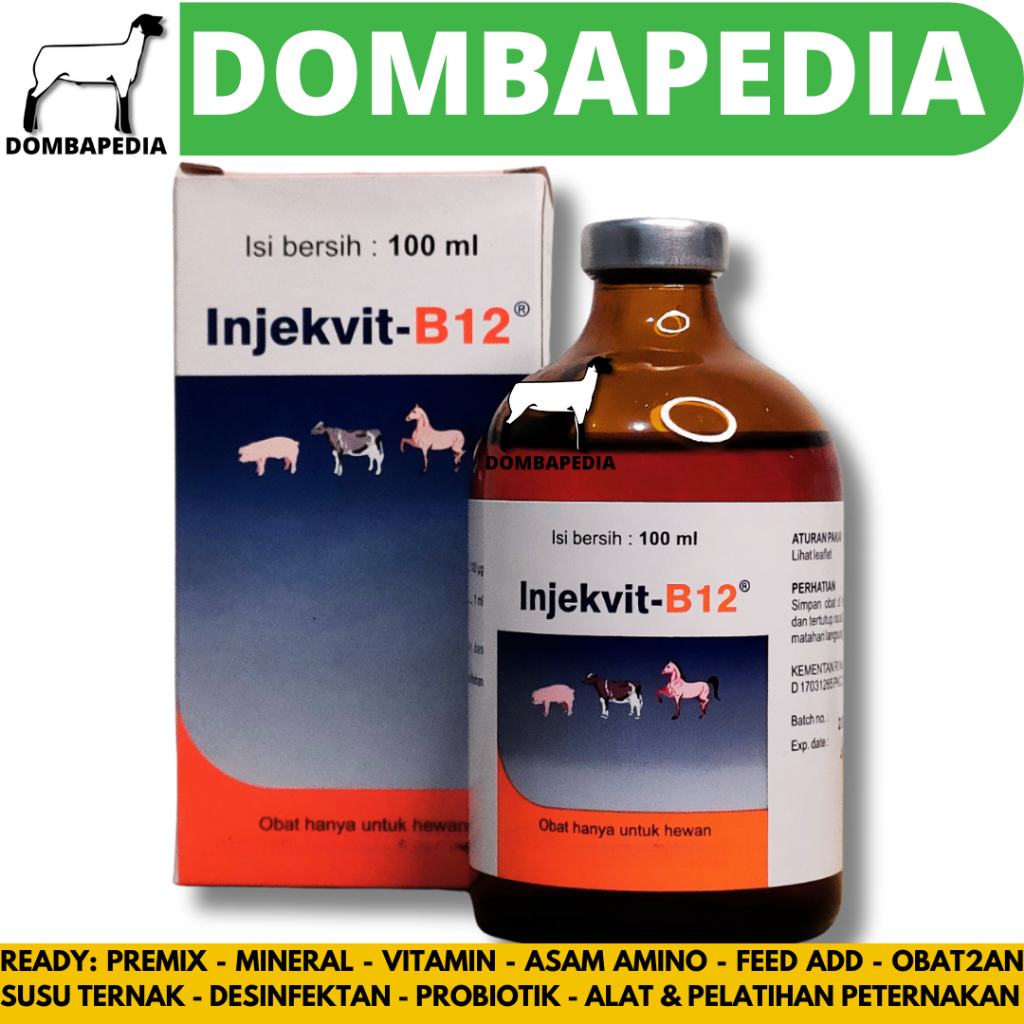INJEKVIT B12 100ML - Obat B12 untuk perbaiki kondisi tubuh, anemia dan tingkatkan nafsu makan hewan 
