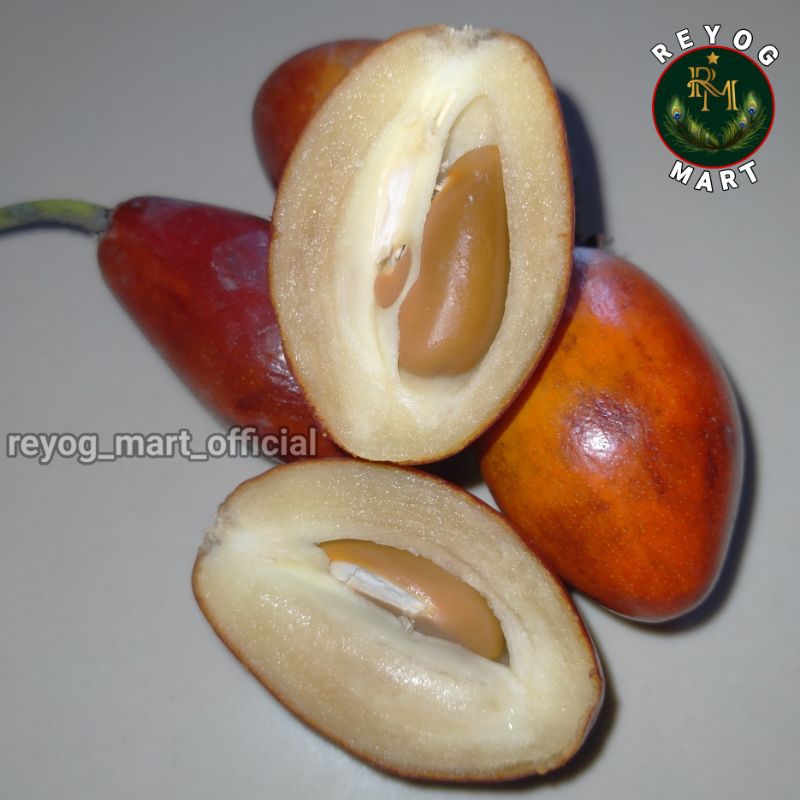 

BUAH SAWO KECIK MINI FRESH MATANG MASAK POHON