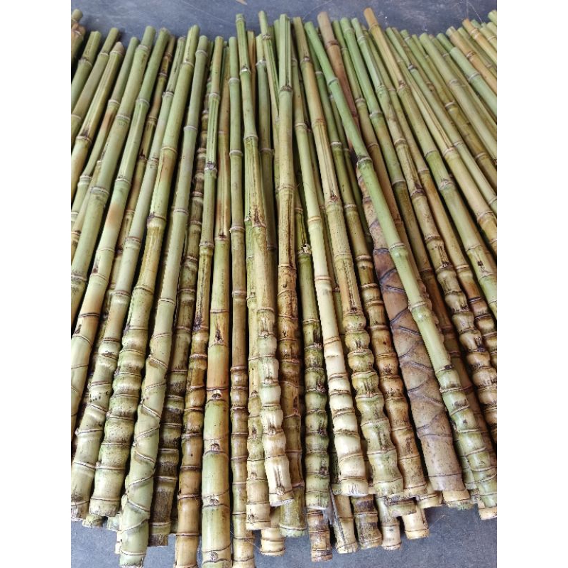 JORANG PANCING LURUS OPEN MURAH BERKWALITAS