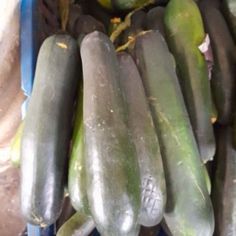 

zukini fresh berat 1 kg