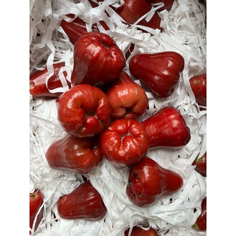 

jambu citra 1kg