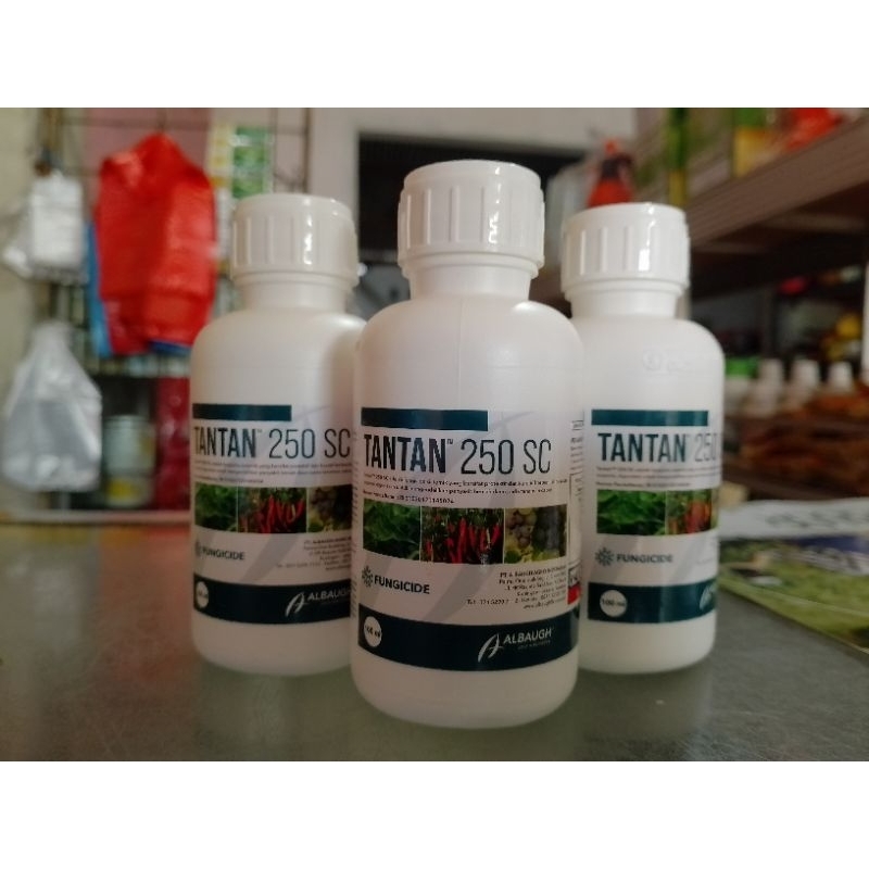 Tantan 250 sc 100 ml Fungisida untuk busuk buah anggur dan busuk buah cabai/patek