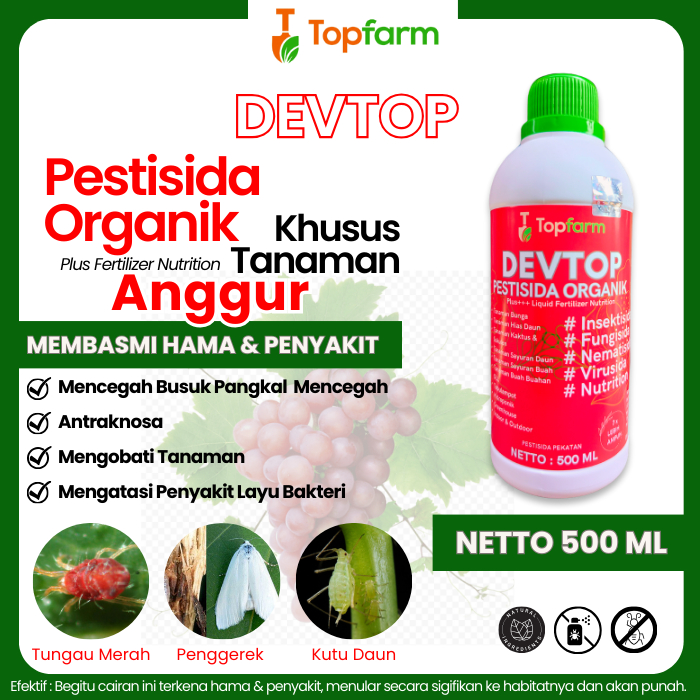 Obat Hama Daun Anggur Kuning / Obat Semprot Hama Pohon Anggur / Obat Hama Anggur / Obat Hama Ulat Da