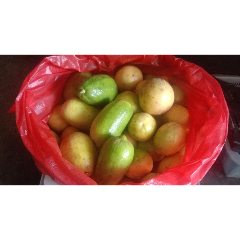 

Jeruk Lemon Lokal Berat 1 Kg (Pengiriman Medan)