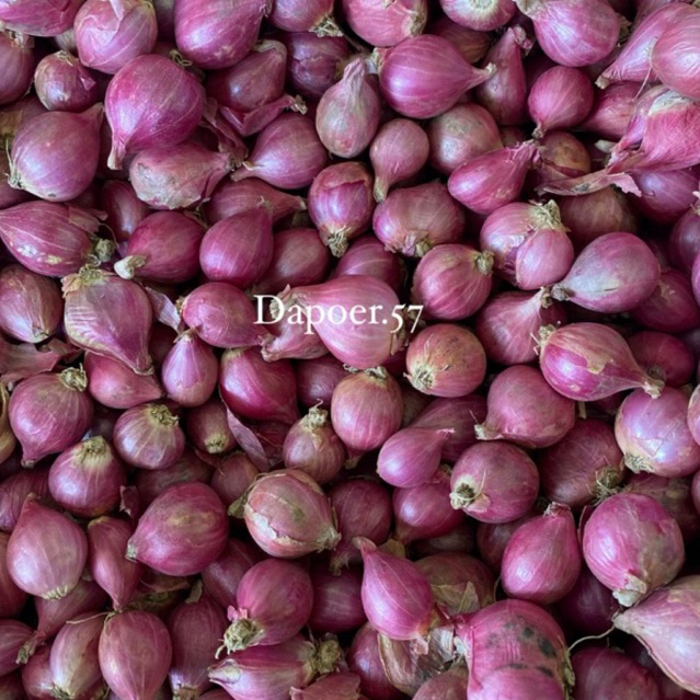 

BAWANG MERAH PROBOLINGGO SUPER MURAH KERING 1 kg | 500gr