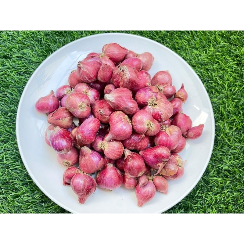 

Bawang Merah Kualitas Super Berat 1kg