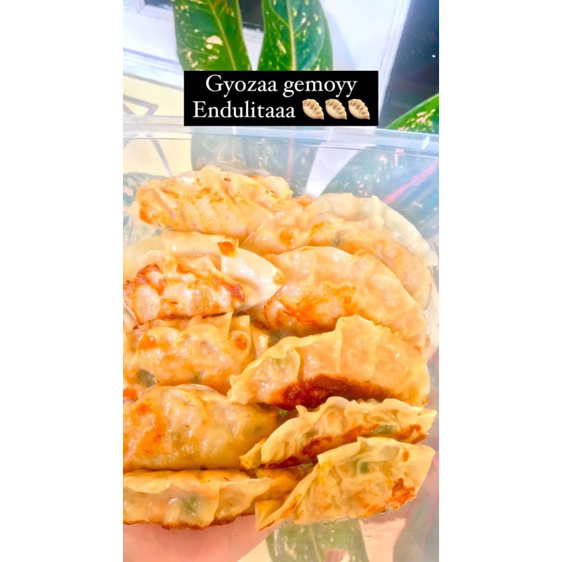 

gyoza premium siap makan