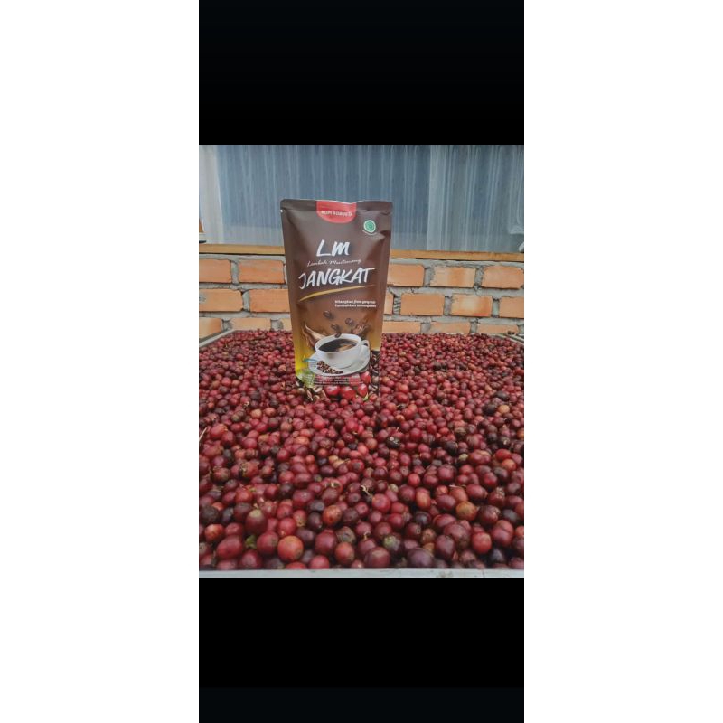 

kopi LM Jangkat Petik merah