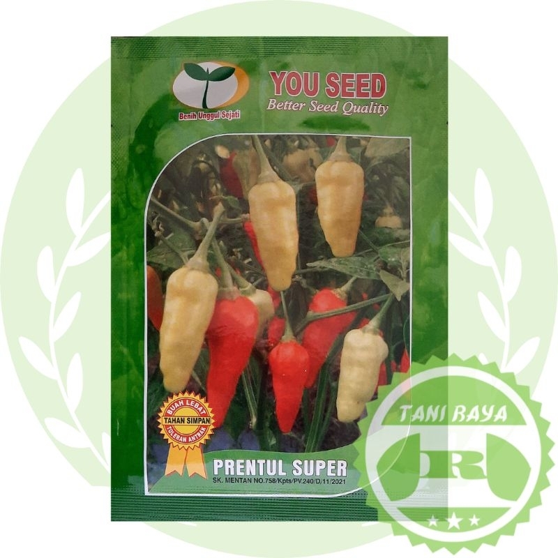 Cabe Prentul Super You Seed 10 gram