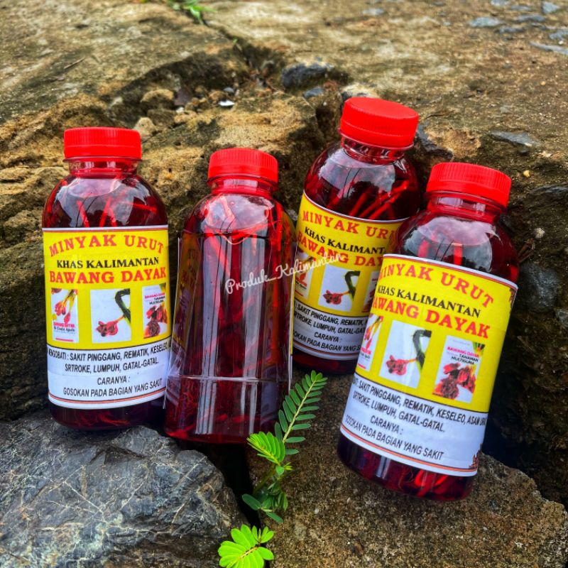 Minyak Urut Minyak Gosok Bawang Dayak Kalimantan Original Berkhasiat