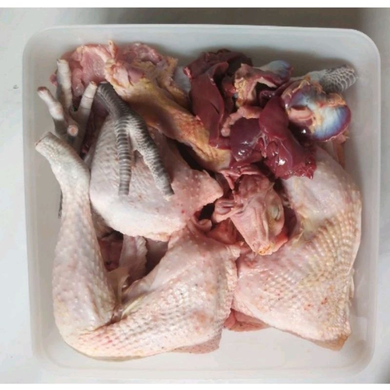 

Ayam Kampung Asli Utuh 1Ekor / Ayam kampung Asli