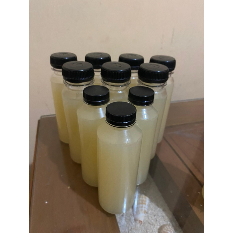 

Sari Air Jeruk Nipis Asli