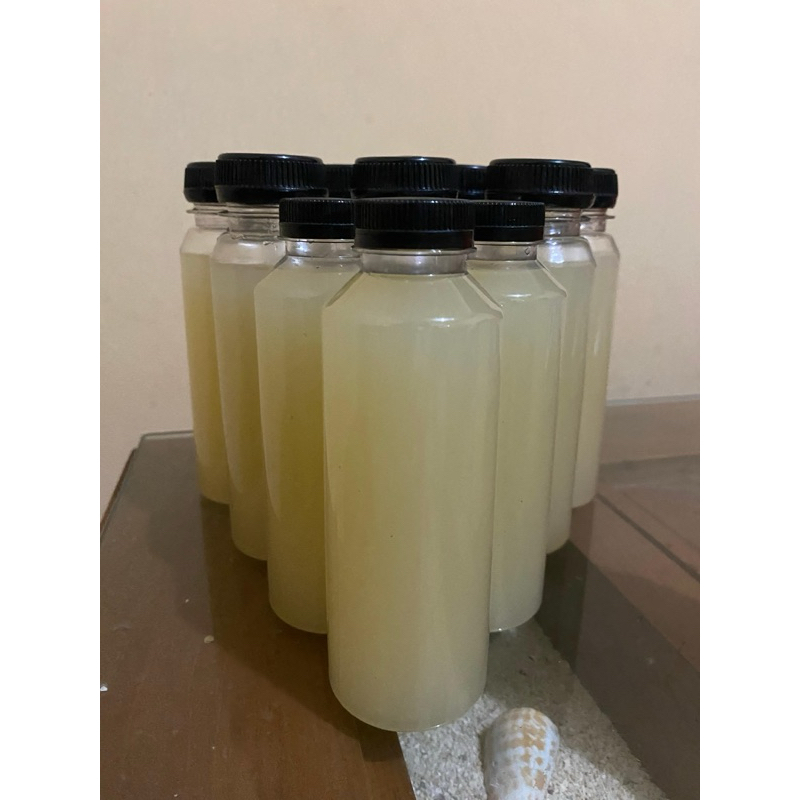 

Sari Air Jeruk Nipis Asli