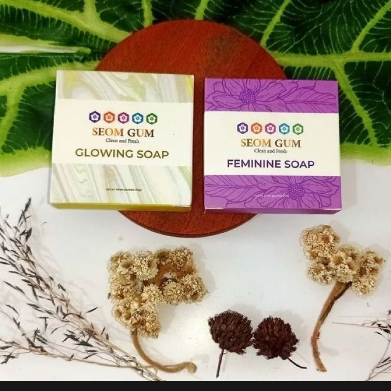 BEAUTY 10PCS SABUN WAJAH SEOM GUM GLOWING SOAP AND FEMININE SOAP