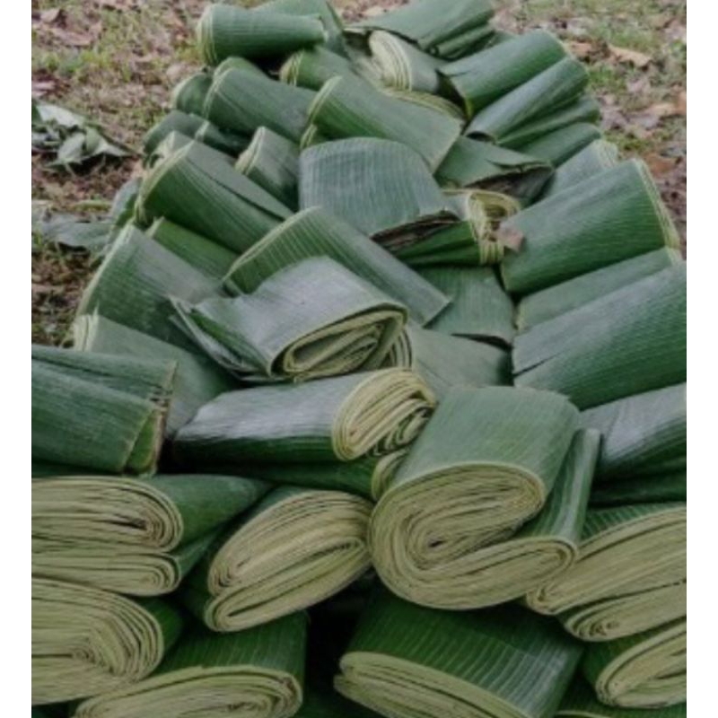 

Daun pisang batu atau manggala segar 500 gram