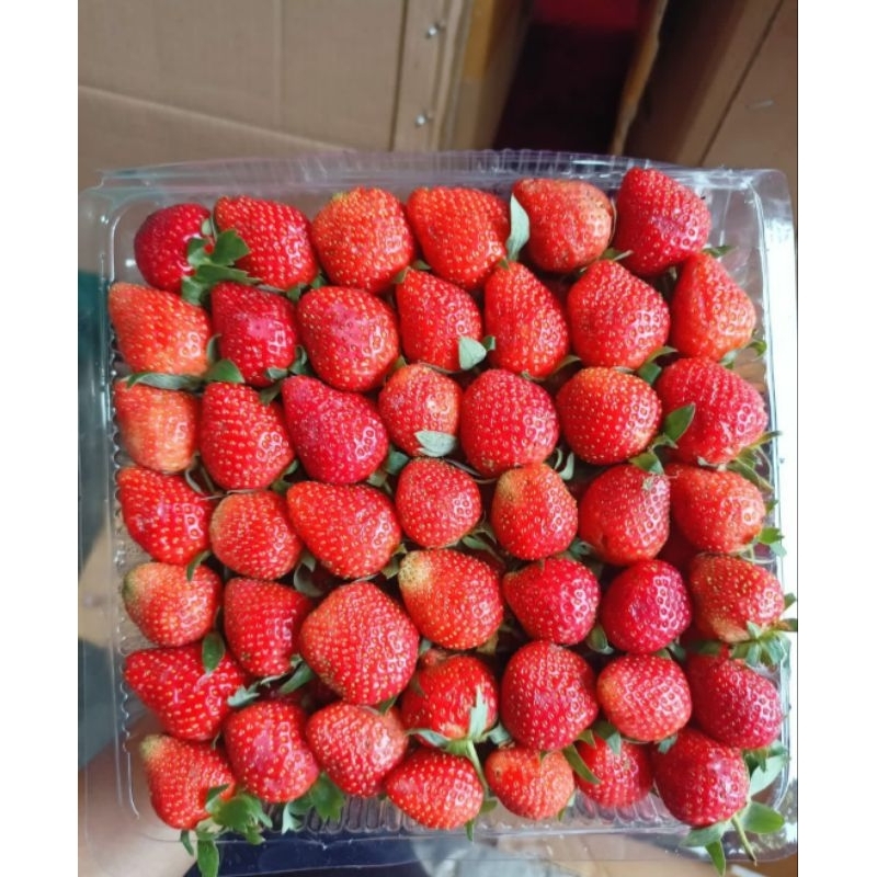 

Strawberry Fresh 1kg