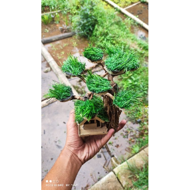 bonsai sintetis rumah pohon aquarium