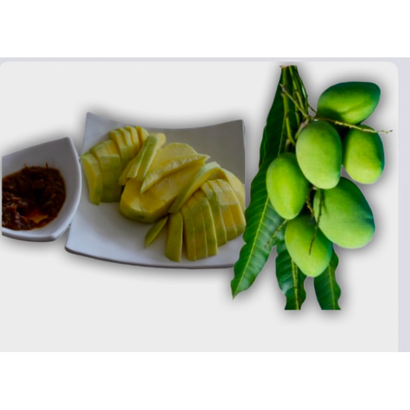 mangga muda rujak mentah per 500g mix varian mangga telor/manalagi/gadung/harum manis AREA JAWA