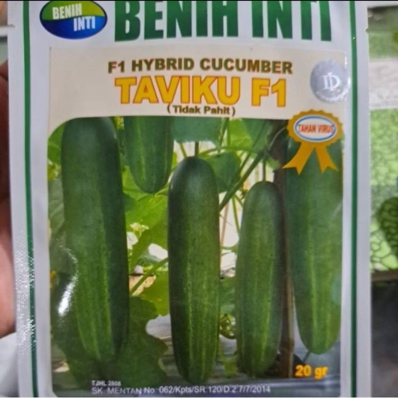 Benih Timun Hibrida TAVIKU F1 20 Gr Benih inti