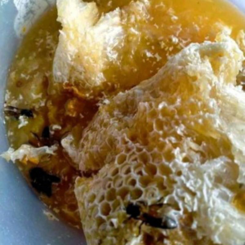 

madu murni asli 100% alami