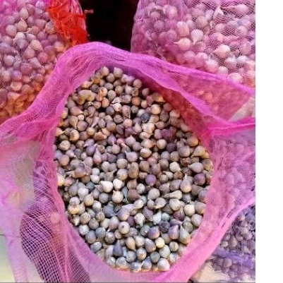 

BAWANG PUTIH TUNGGAL 250 gr, 500 , 1000. Bawang Lanang HERBAL