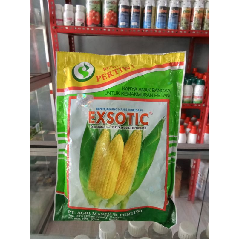 Bibit Jagung Manis Exotic 1750btr