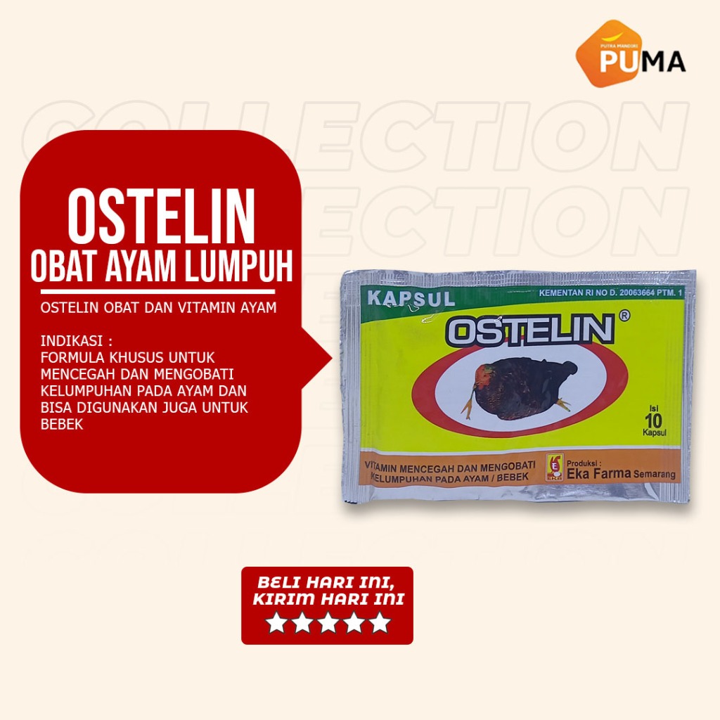 OSTELIN OBAT UNTUK MENCEGAH DAN MENGOBATI KELUMPUHAN PADA AYAM /BEBEK OBAT AYAM LUMPUH BEBEK LUMPUH