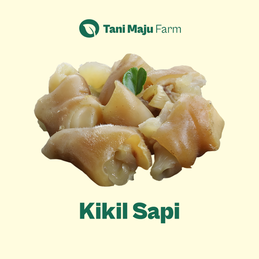 

Kikil Sapi Tunjang Kulit Kaki Fresh (500 gram) - Daging Sapi