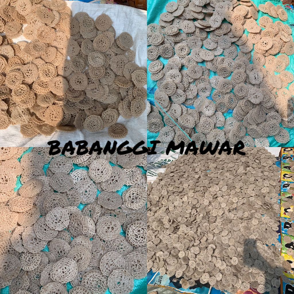 

KERUPUK MAWAR MENTAH SEBLAK RAFAEL BESAR/KECIL MURAH 500gr