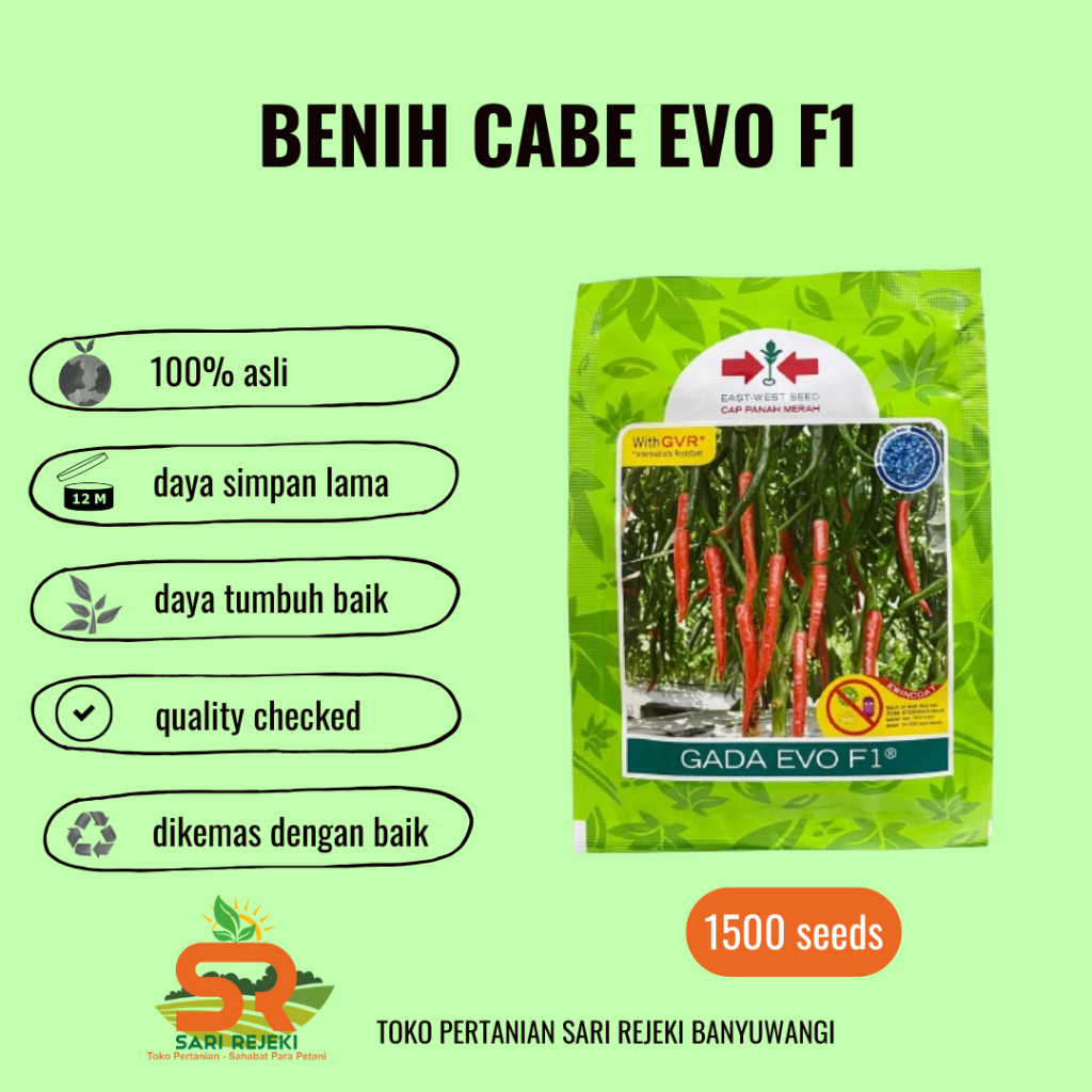 BENIH CABE/CABAI BESAR GADA EVO F1 2250 BUTIR CAP PANAH MERAH