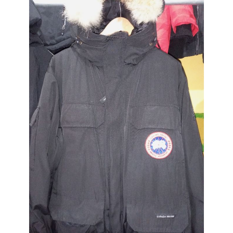 canada goose