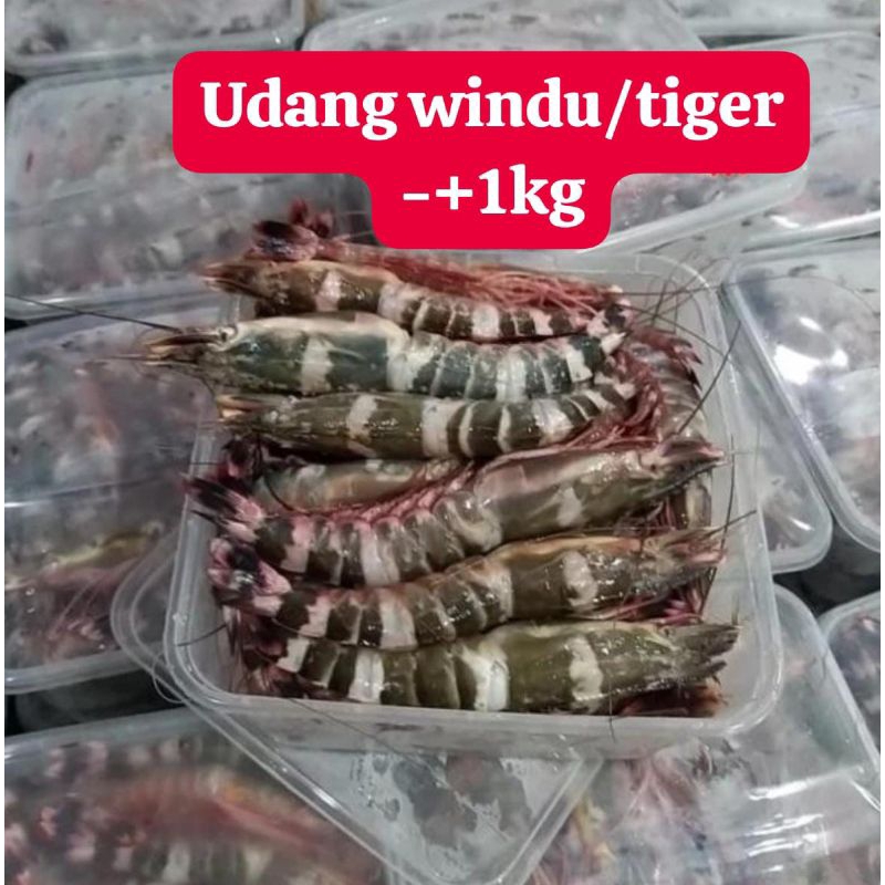 

Udang Windu Fresh Frozen 1kg