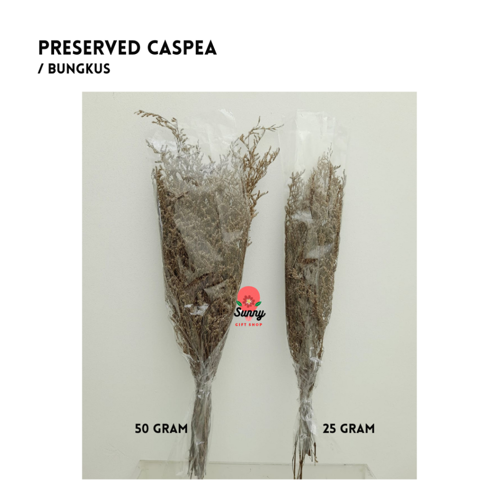 Preserved Caspea / Dried Flower / Caspea Flower / rustic flower