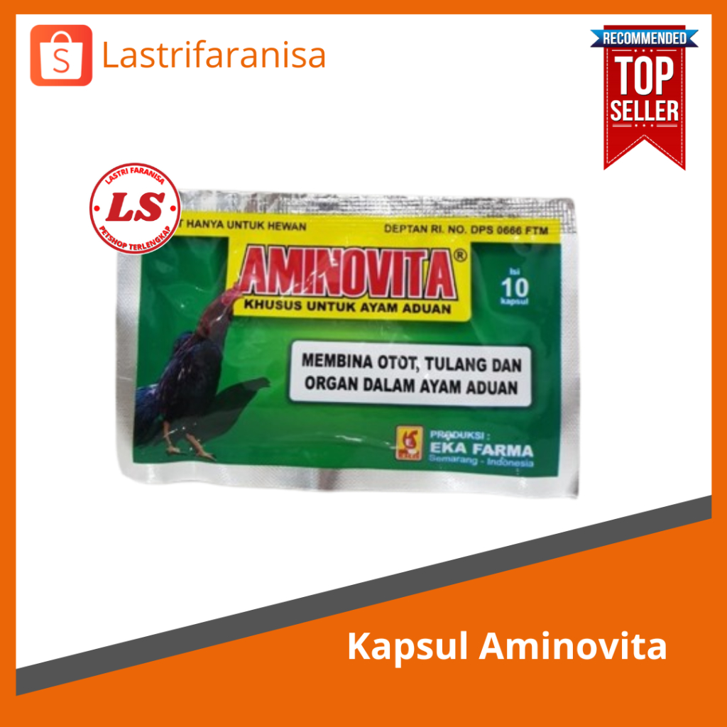 Aminovita obat  penambah nafsu makan obat vitamin ayam kapsul penambah nafsu makan ayam