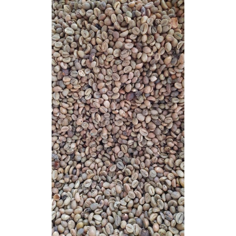 

Green Bean Asalan Robusta Lampung Barat 1kg