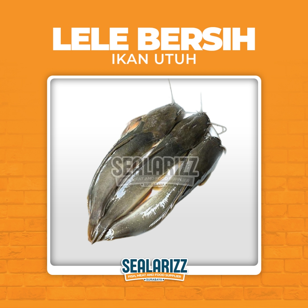 

Ikan Lele Bersih / Ikan Lele 1 Kilogram / Catfish / Lele Fresh / Lele Segar / Jual Lele / Surabaya
