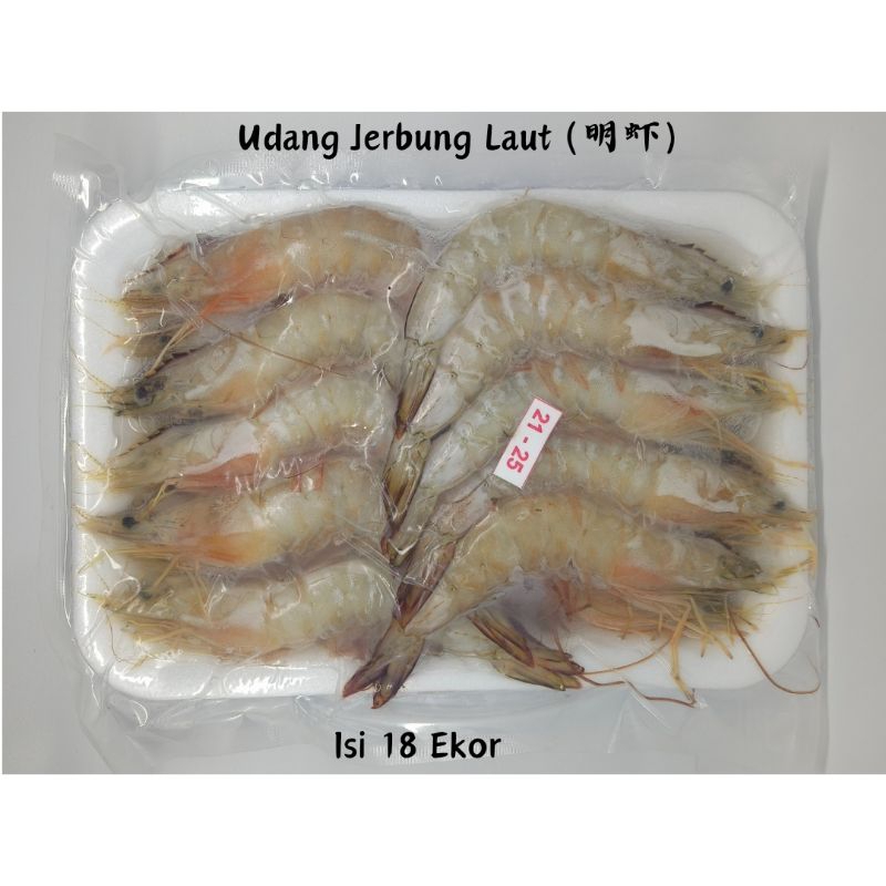 

Udang Jerbung Laut Size 21/25 - 18 Ekor