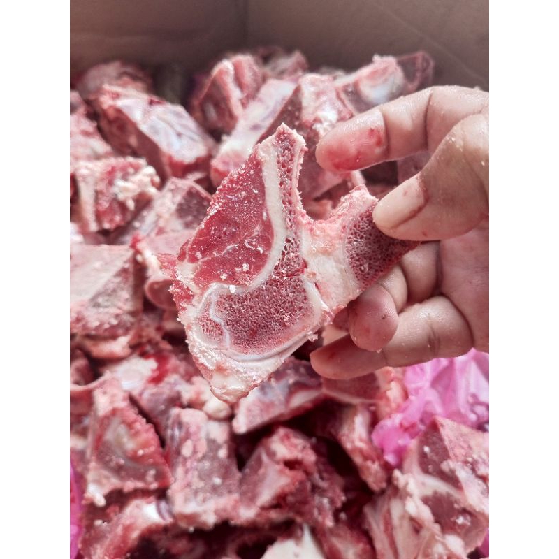 

TULANG KALDU/TULANG CHUKRIBS