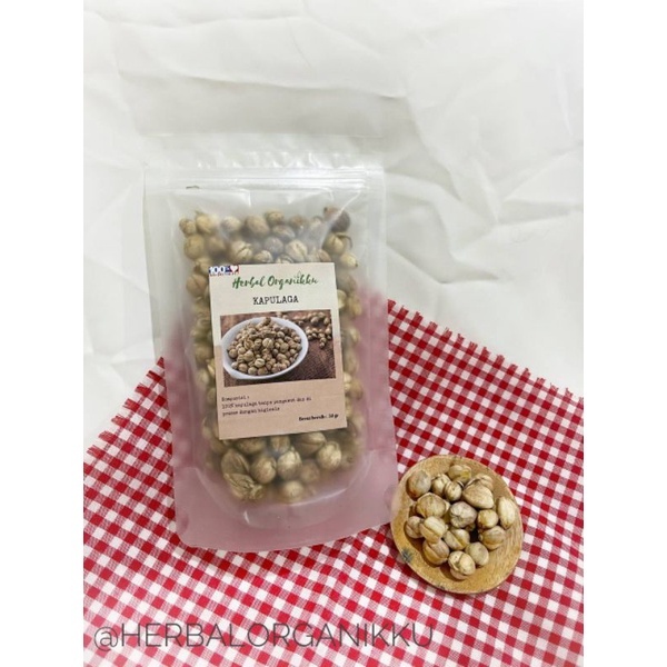 

Kapulaga Jawa Utuh Bubuk 500 & 1000gr(1kg) | Cardamom | Kapol