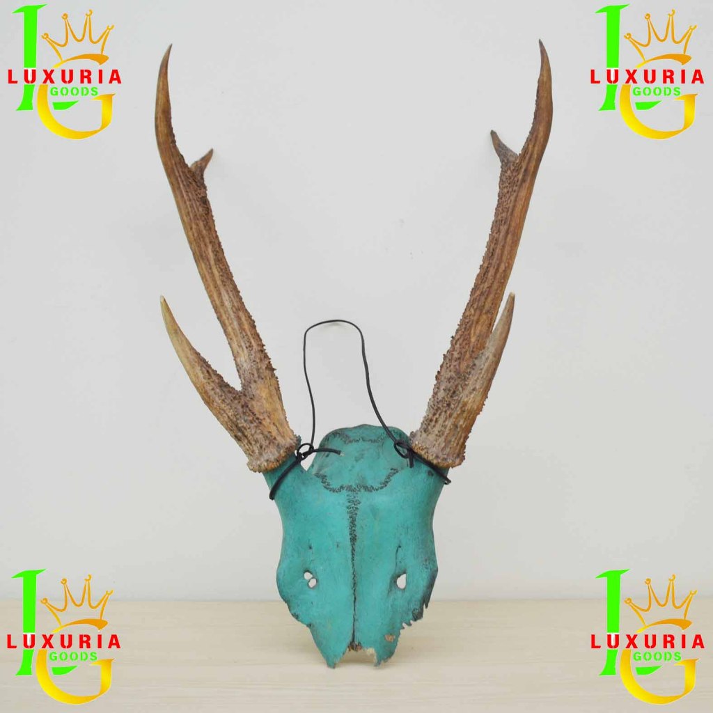 BARANG ANTIK TANDUK RUSA TENGKORAK WARNA HIJAU.