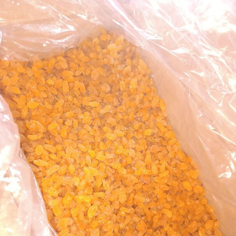 

Kismis MANIS 1 kg Manizzzz