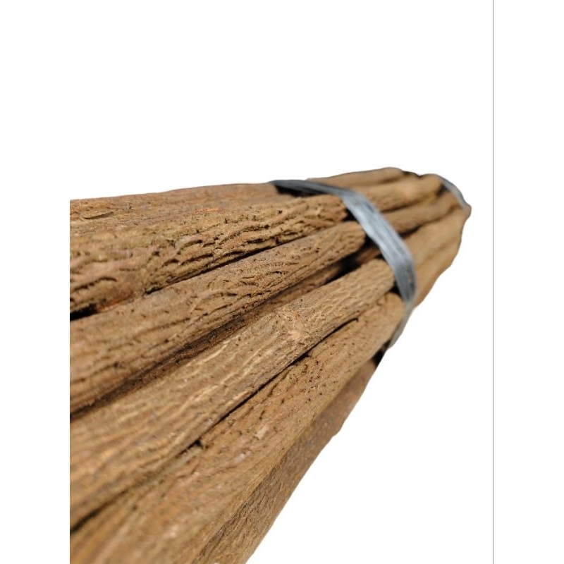 PANGKRINGAN ASEM JAWA SUPER UNTUK MURAI BATU UK 62CM