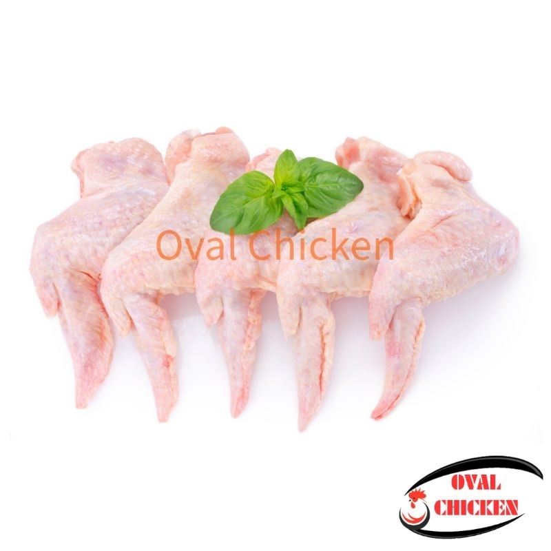 

Sayap / Wings Ayam 100% Fresh